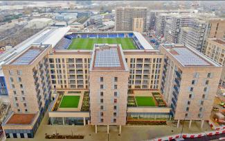 Green roofs in the city