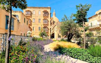 Mediterranean roof garden 