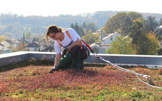 Roof gardener with fall protection
