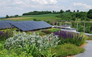 Green roof and solar installation