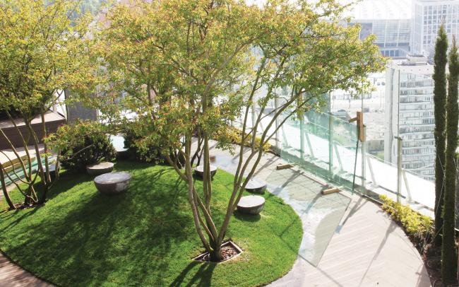 Roof garden with sitting area and big trees in a big city