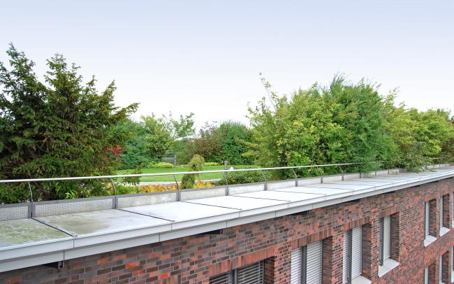 Roof garden with hedge