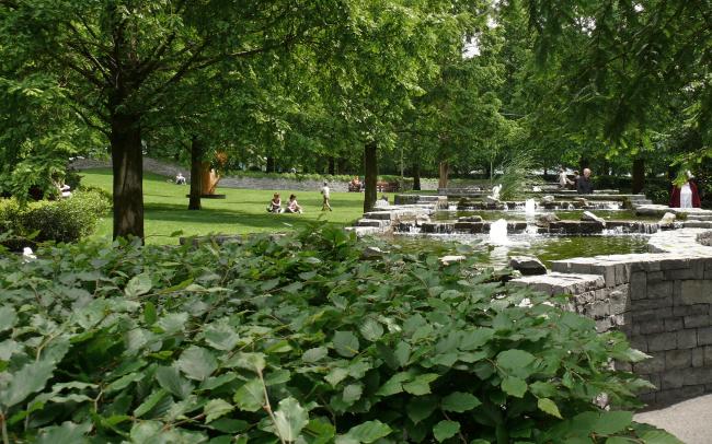 Water feature with fountains, surrounded by shrubs and trees