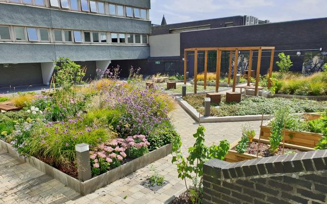 Roof garden with plant beds, sitting areas and a wooden pergola