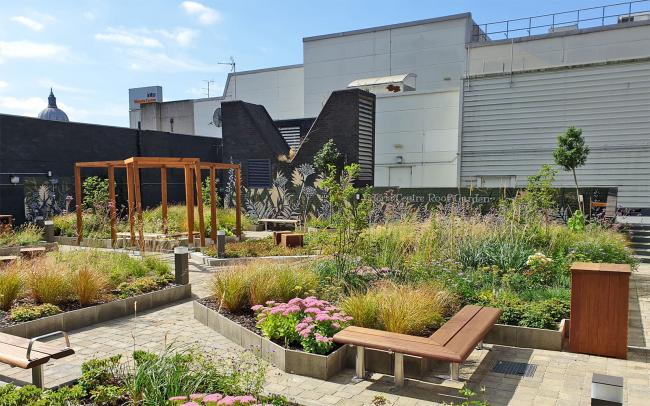 Roof garden with shrubs, ornamental grasses, a wooden pergola and sitting areas
