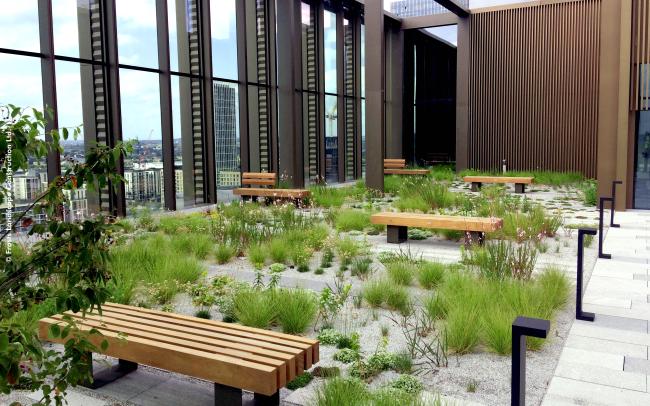 Roof terrace with benches and a prairie-like vegetation