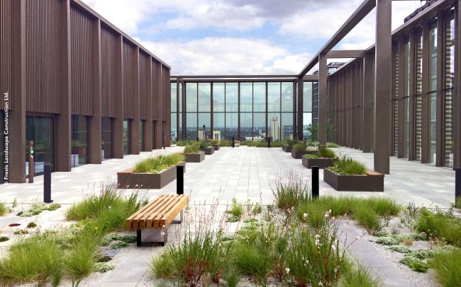 Roof terrace with paved area, benches and prairie-like plant beds