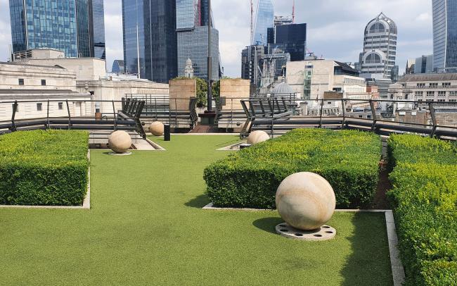 Roof garden with lawn and boxwood trees