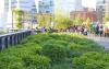 More than 20 million people have visited the High Line Park so far.