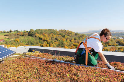 Roof gardener with safety device